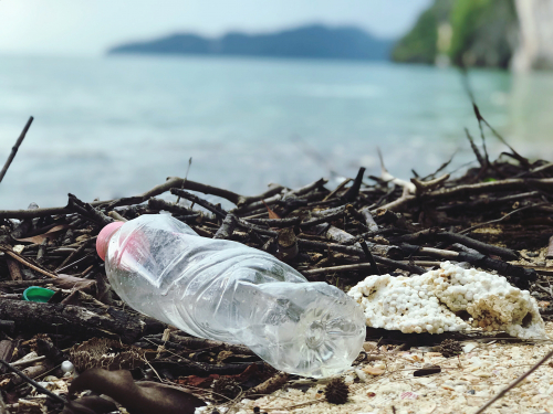 Closing the loop: Turning plastic waste from a crisis into a resource